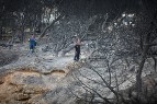 Déclaration sur les incendies catastrophiques